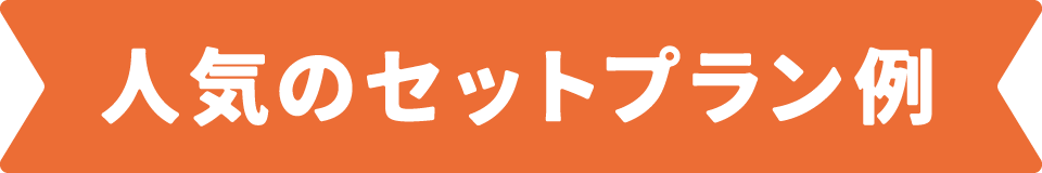 人気のセットプラン例