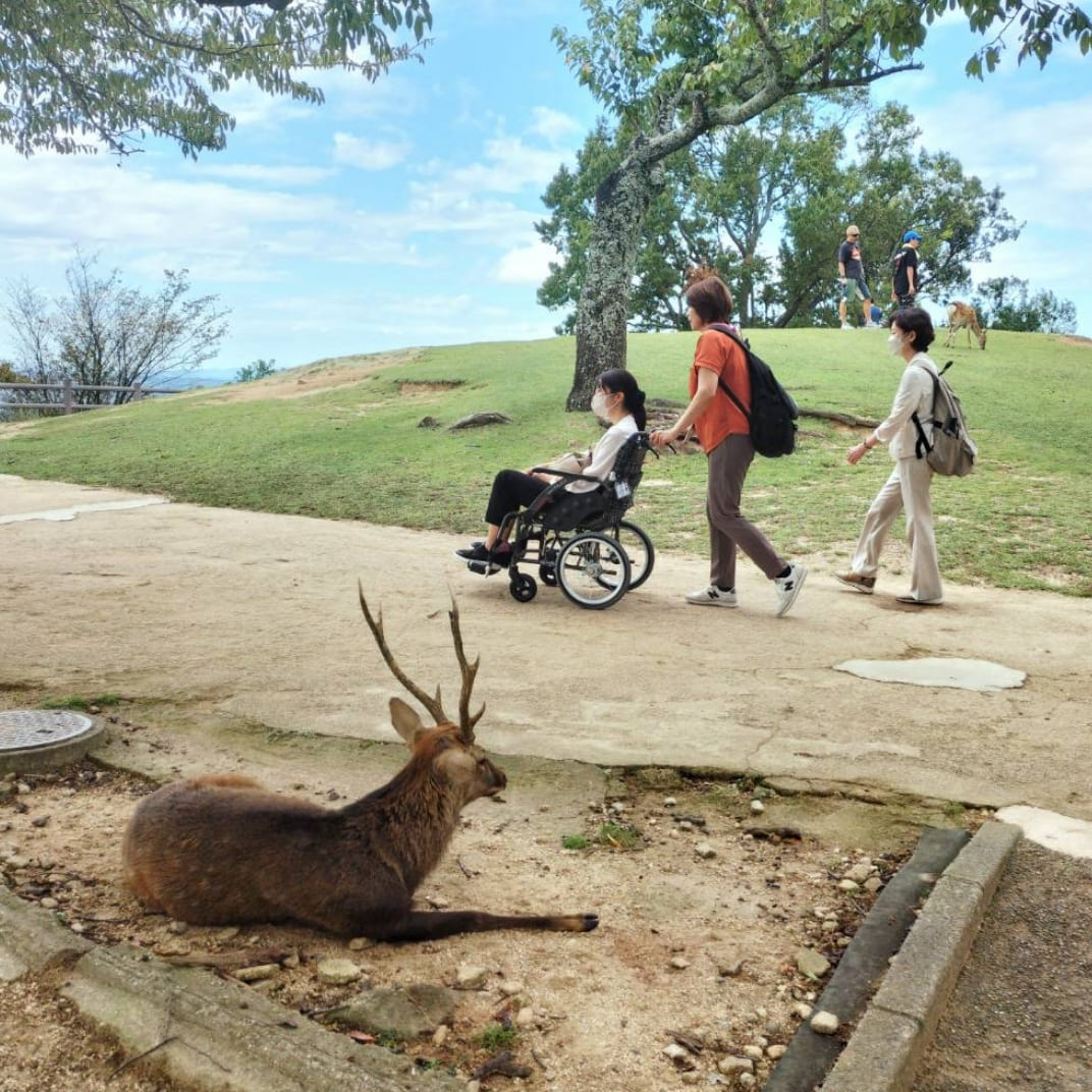 奈良公園の鹿の前を通るReTabyの利用者様とスタッフ