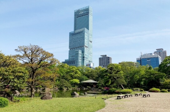 天王寺公園から見るあべのハルカス