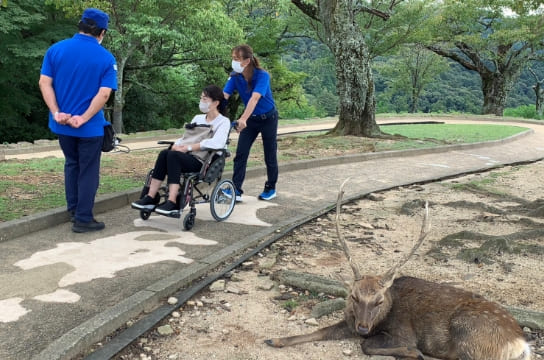 若草山を散策