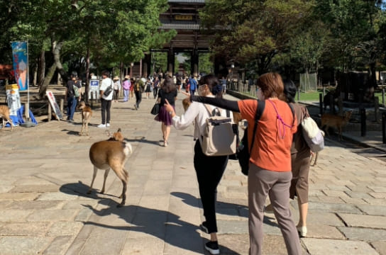 東大寺の参道の様子